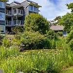 Pacific Shores Resort & Spa