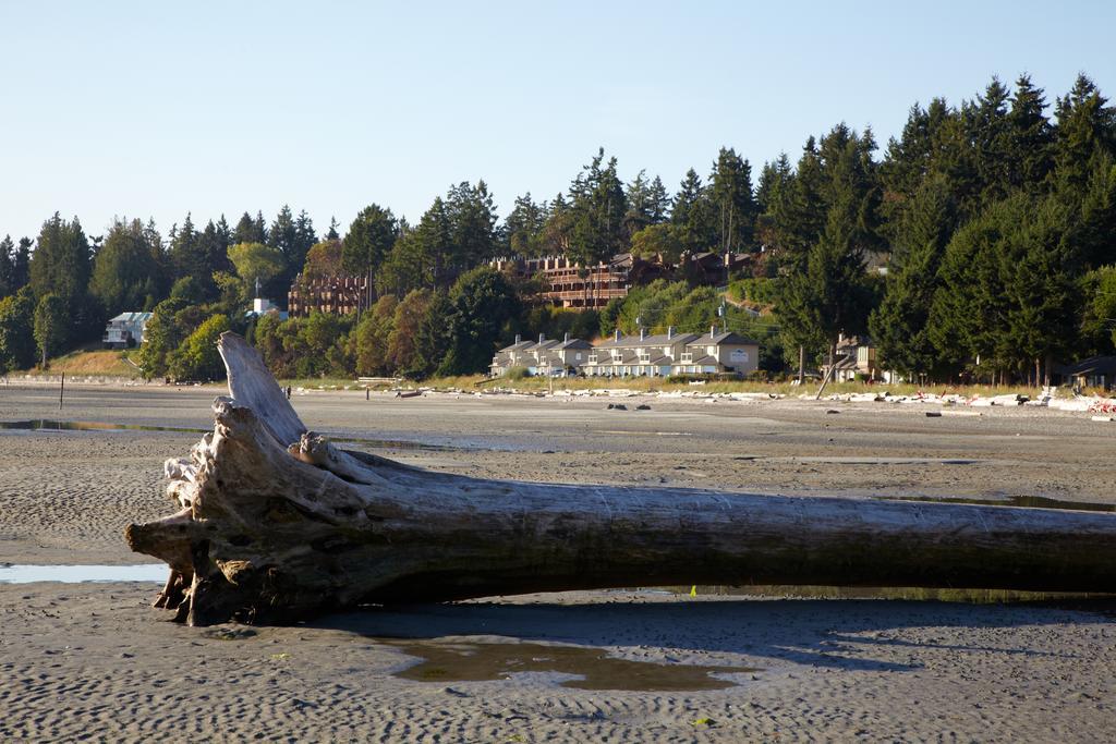 Madrona Beach Resort 3*
