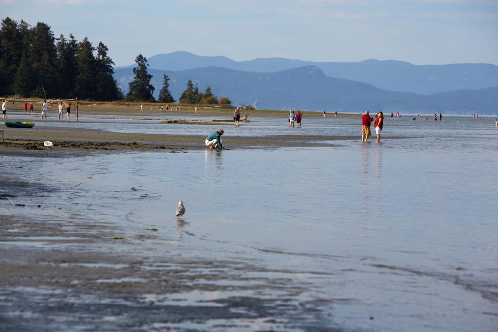 Madrona Beach Parksville