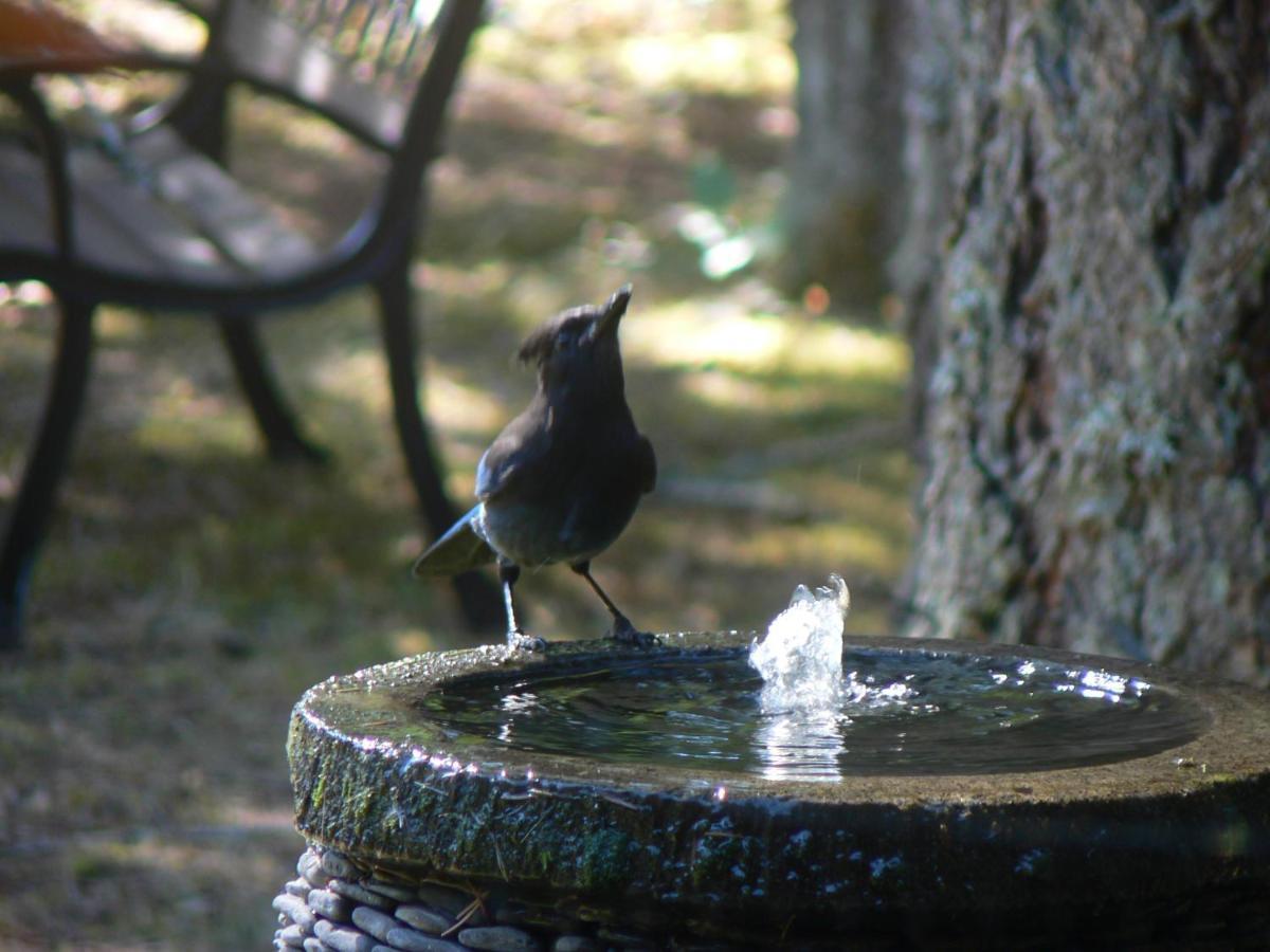Cedar Song Bed & Breakfast Parksville