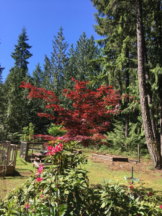 Bed & Breakfast Cedar Song Parksville