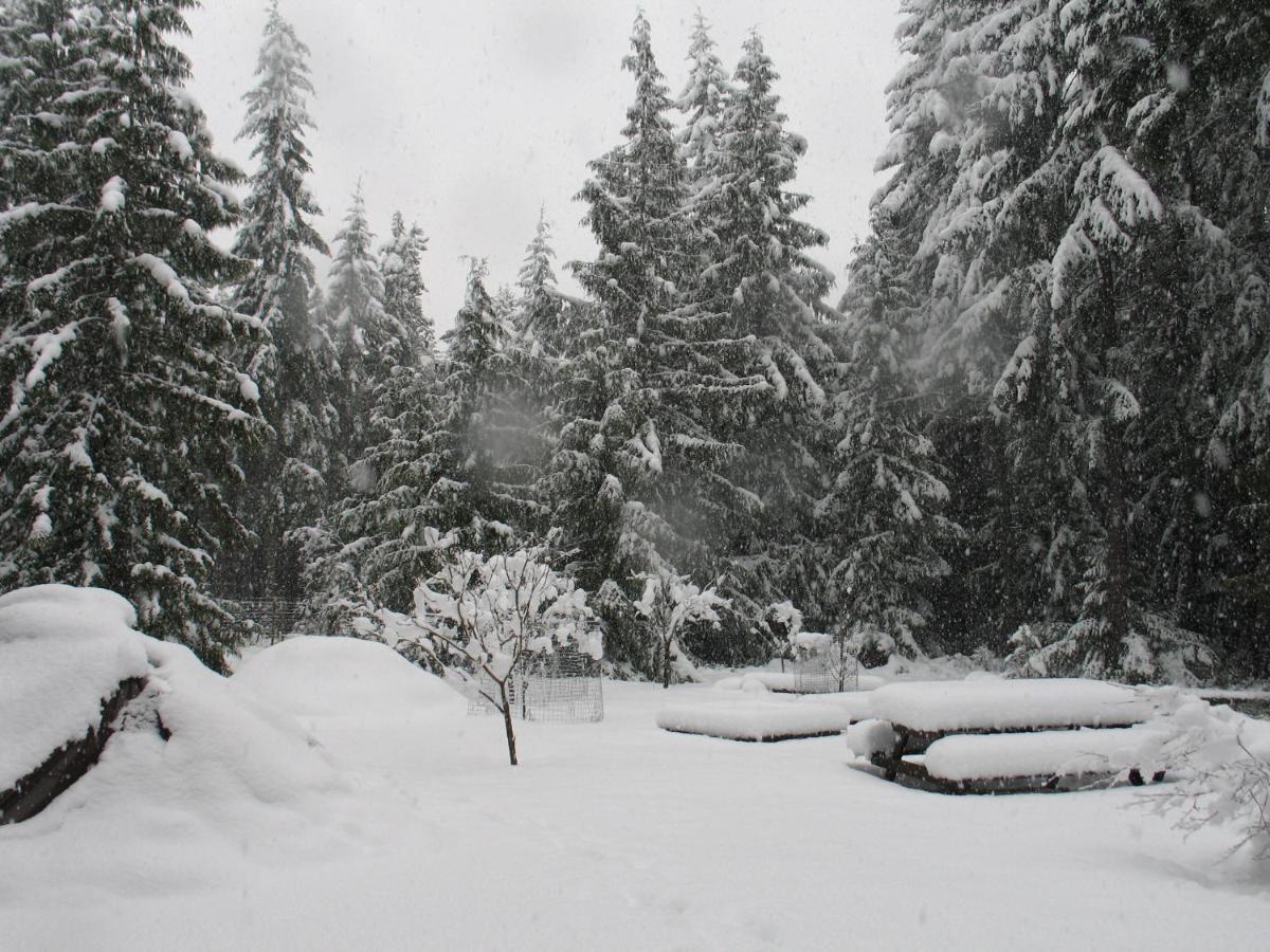 Bed & Breakfast Cedar Song Parksville