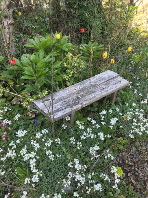 ~ Secret Garden Near The ~ Holiday home *