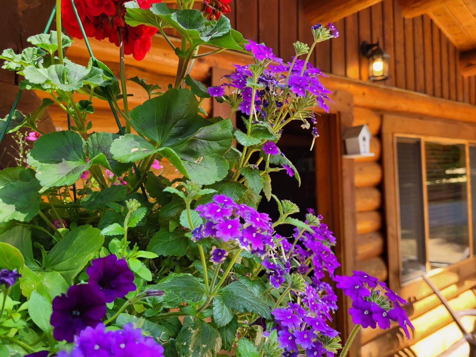 Riverbend & Rv Resort 3*