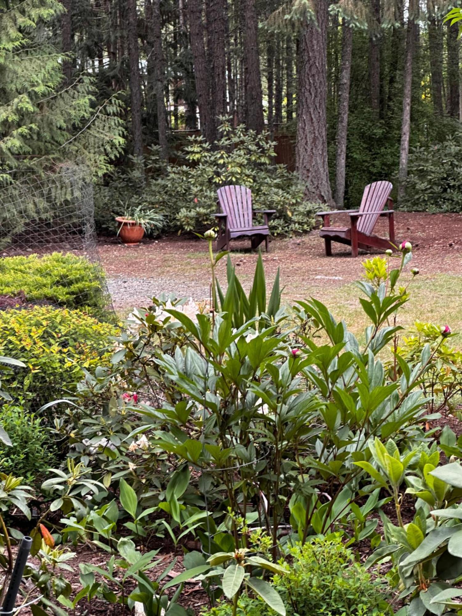 Cedar Song Parksville