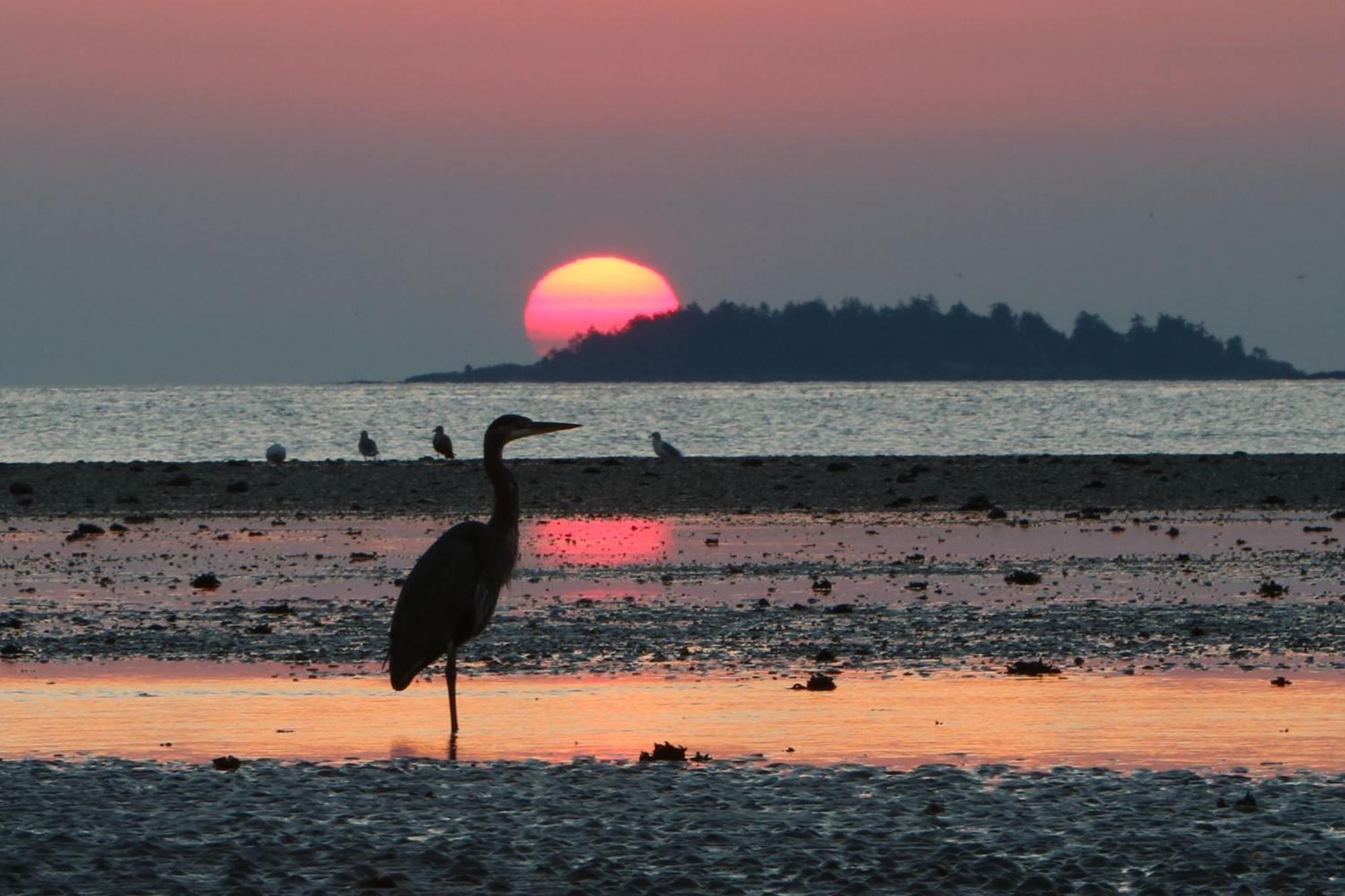 Motel Skylite Parksville