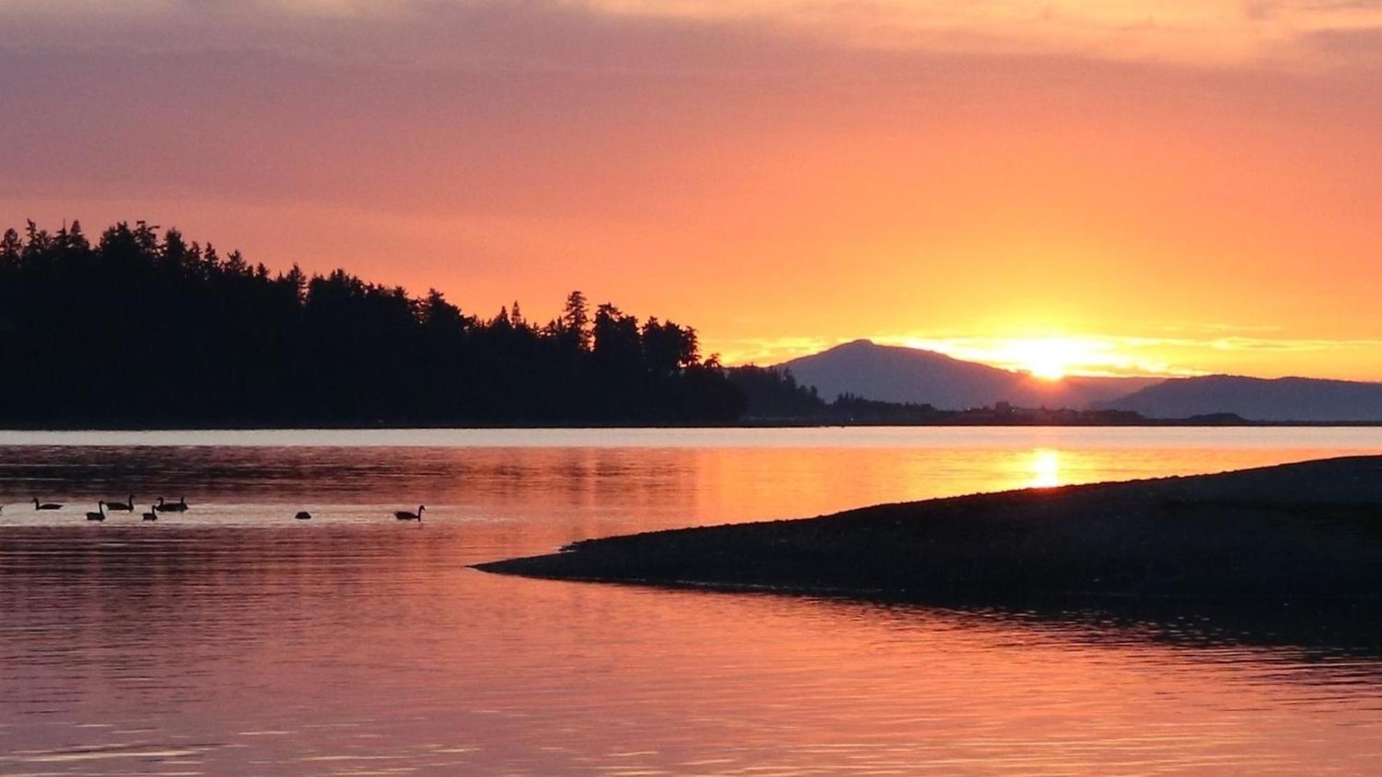 Skylite Motel Parksville