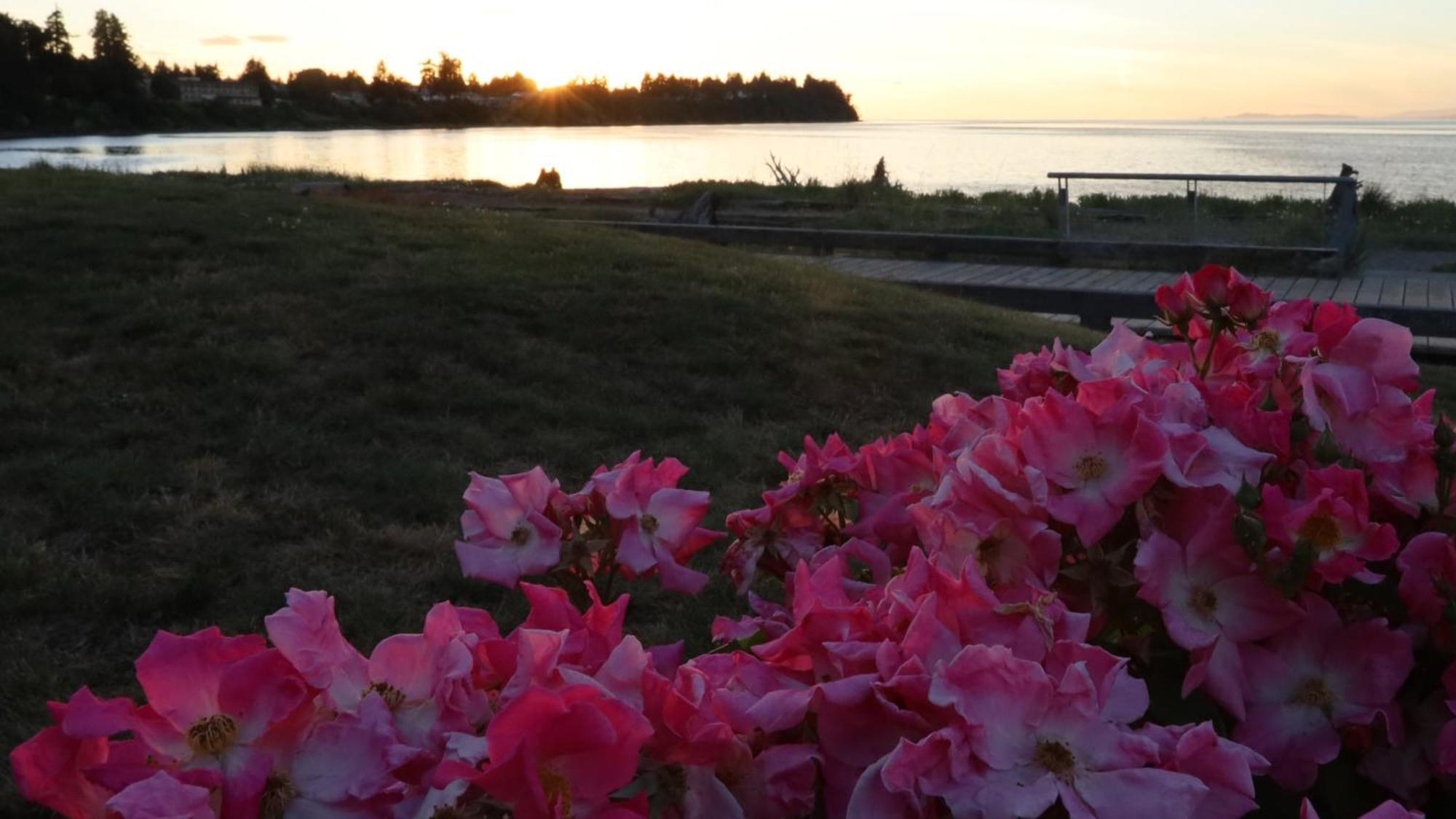 Skylite 2* Parksville