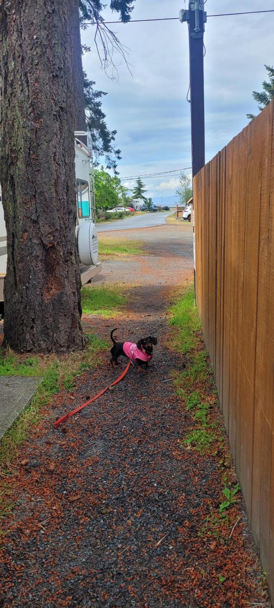 Cute Tiny At Park Sands Parksville
