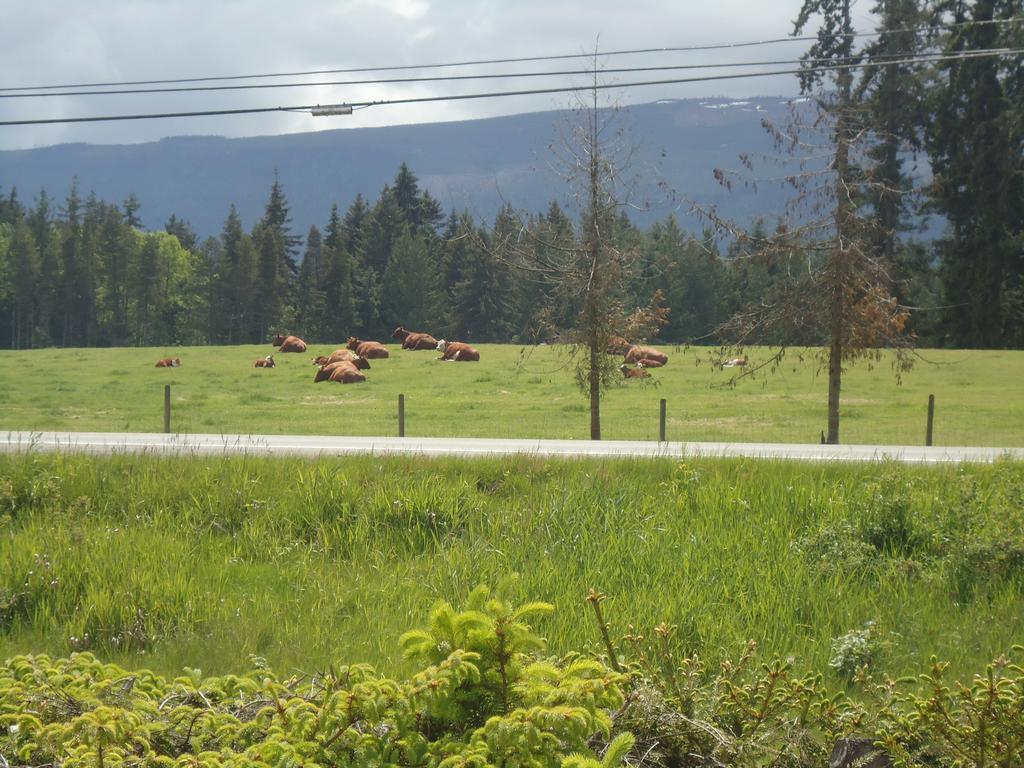 Cedar Song Bed & Breakfast 5*
