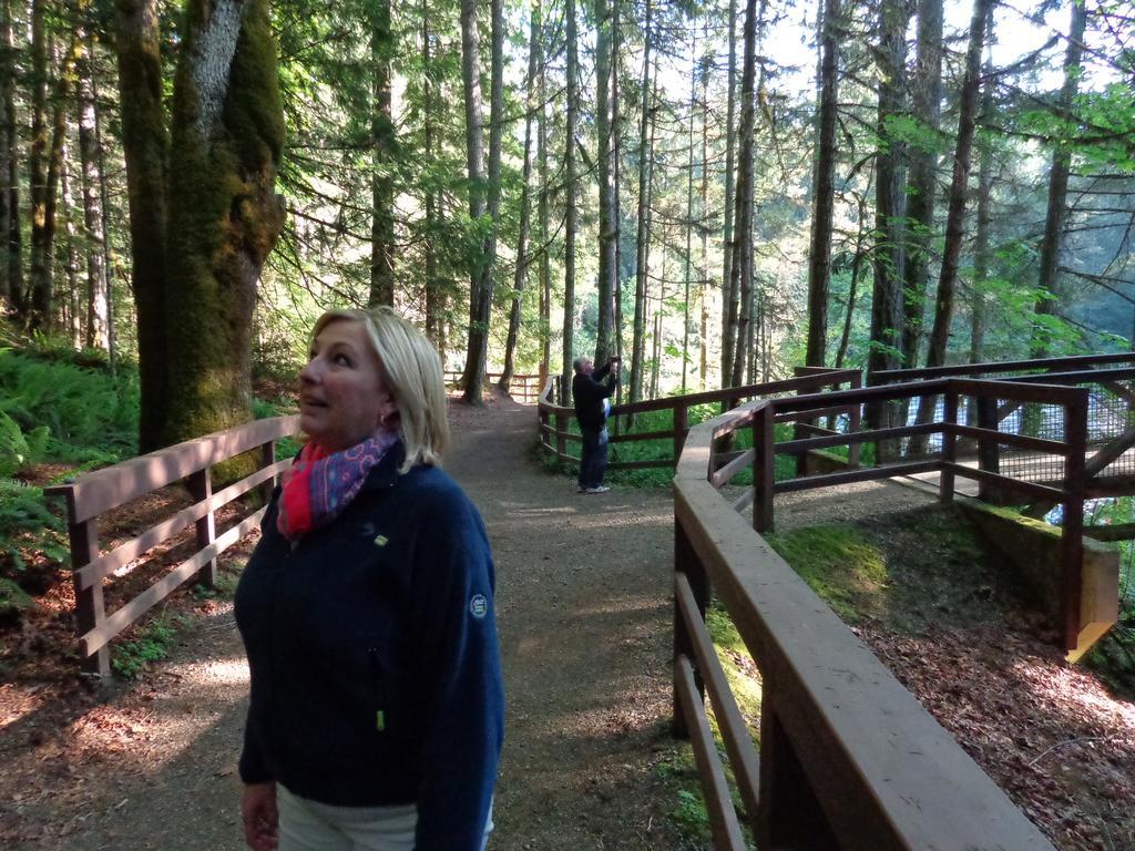 Cedar Song Bed & Breakfast