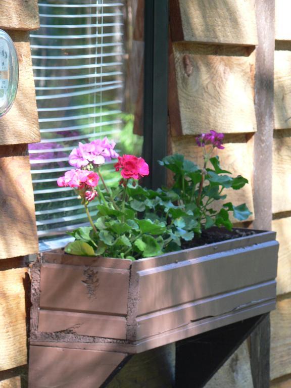 Bed & Breakfast Cedar Song 5*