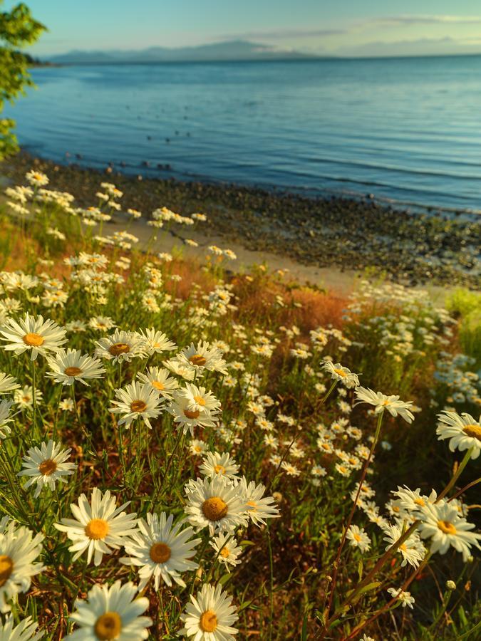 Sunrise Ridge Waterfront 3*