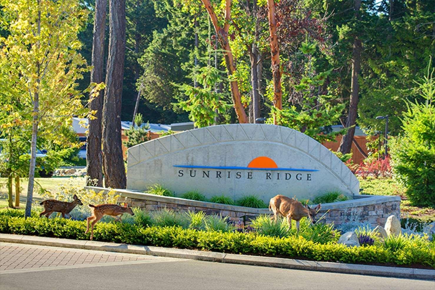 Sunrise Ridge Waterfront 3*