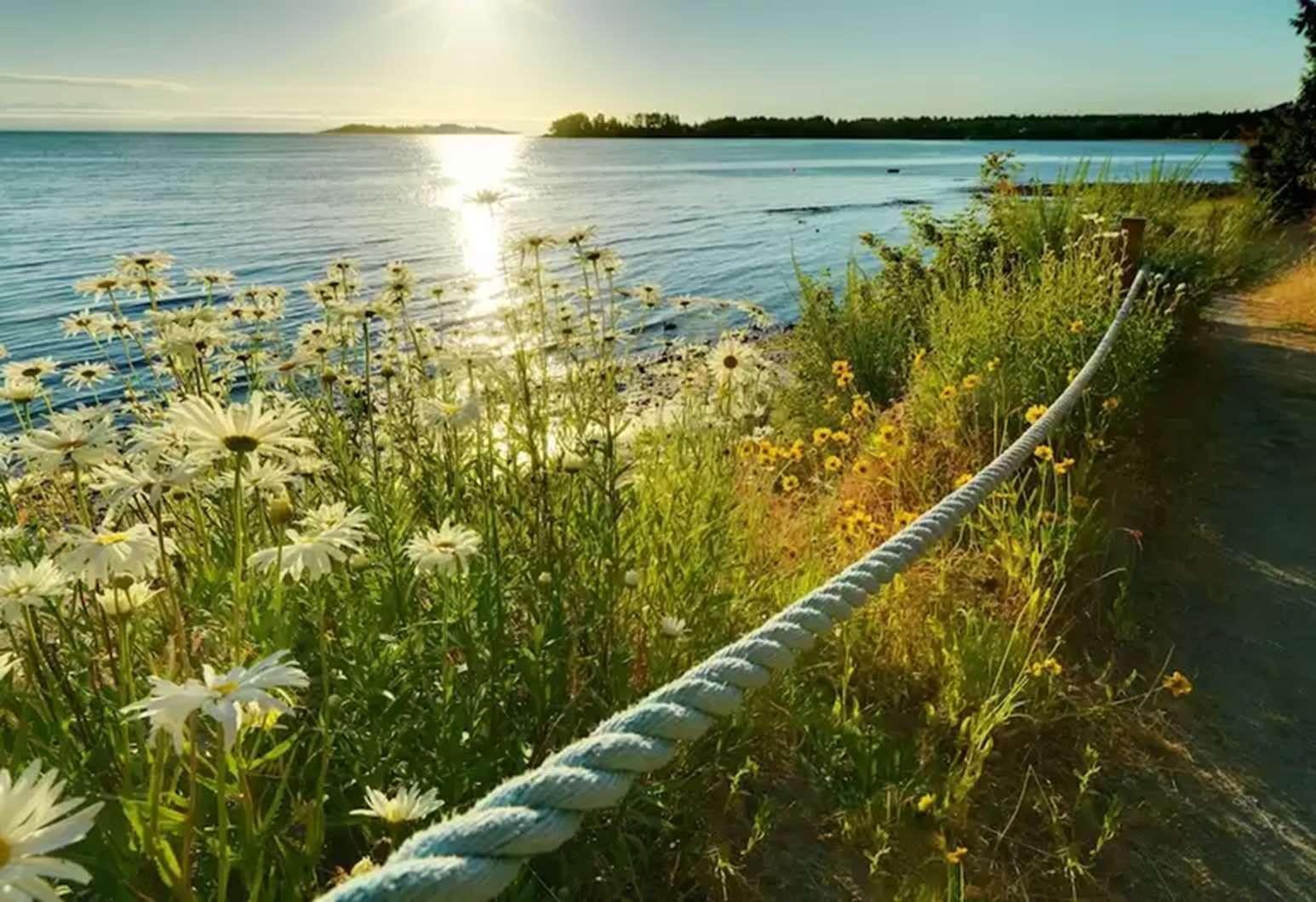 Resort Sunrise Ridge Waterfront 3*