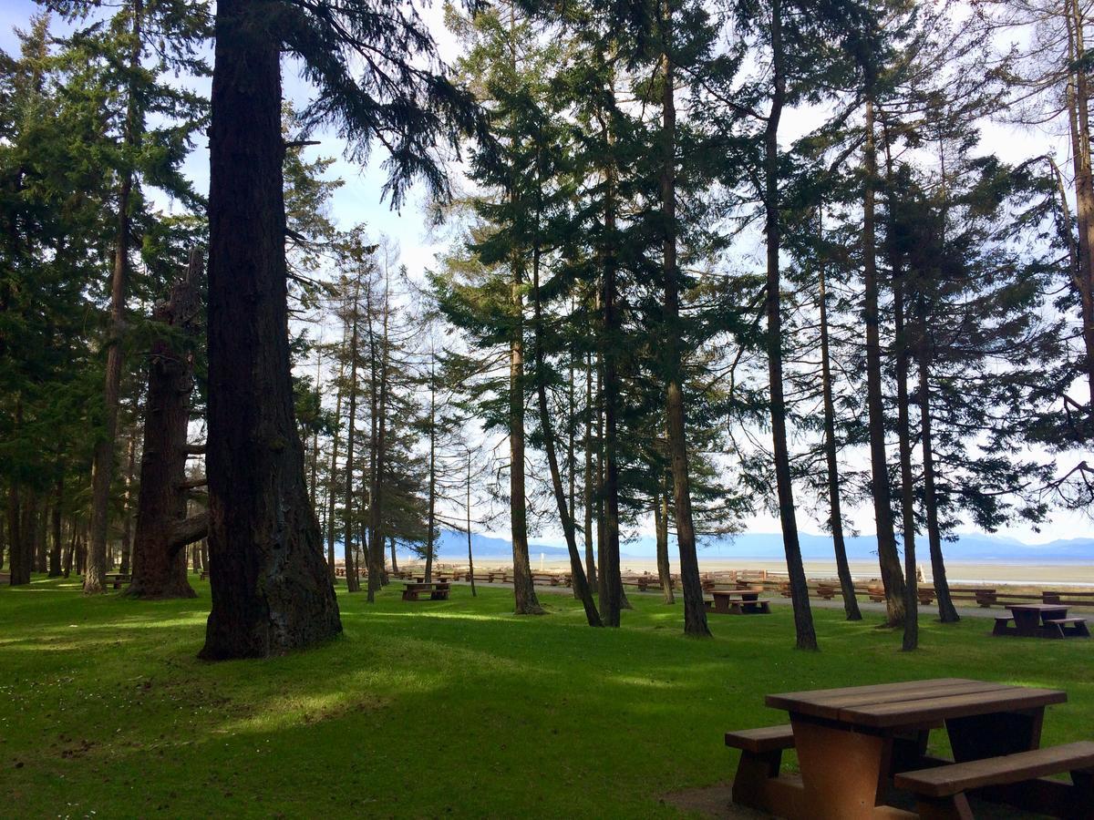 Brant Parksville