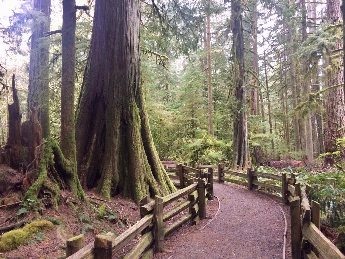 Bed & Breakfast Brant Parksville
